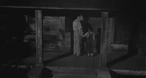 杀死一只知更鸟当你明知道会失败,杀死一只知更鸟在于内心的坚守