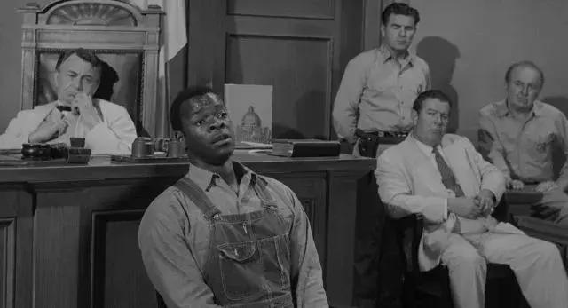 杀死一只知更鸟当你明知道会失败,杀死一只知更鸟在于内心的坚守