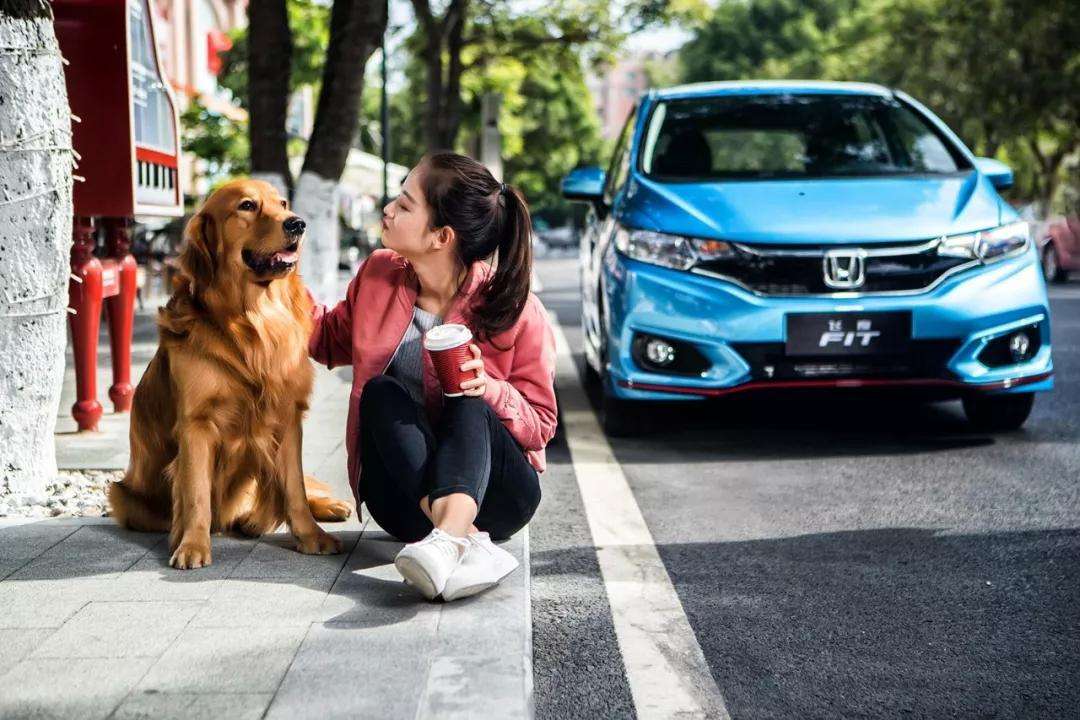 大众polo本田飞度丰田致炫哪款好,大众poloplus和本田飞度怎么选