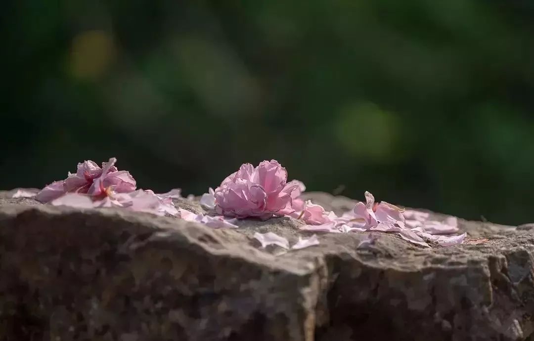 那些年倒背如流的话,那些年背过的文言文