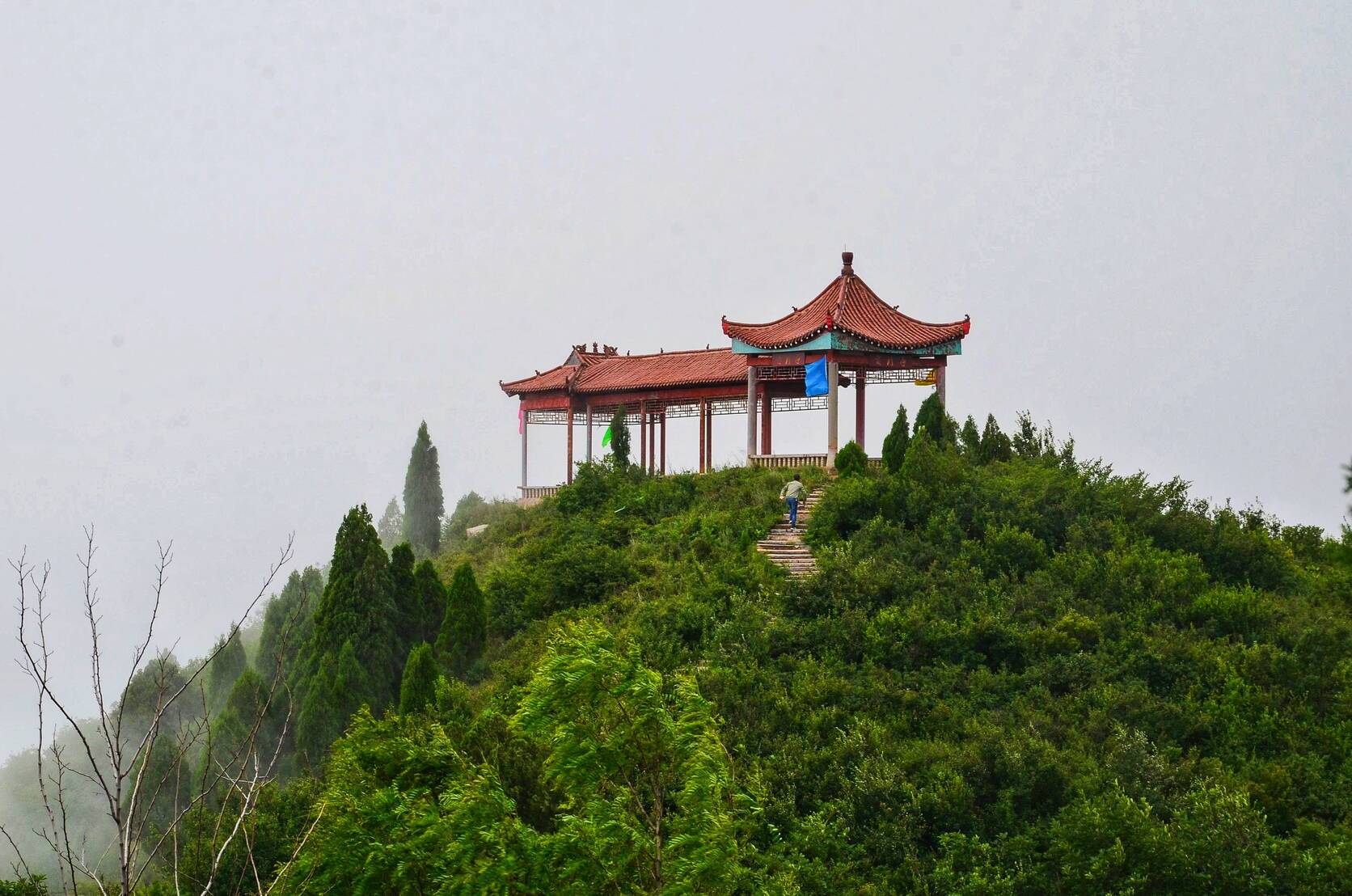 零距离感受中国传统文化,零距离感受非遗文化