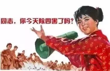 四害消杀温馨提醒,除四害科普小知识