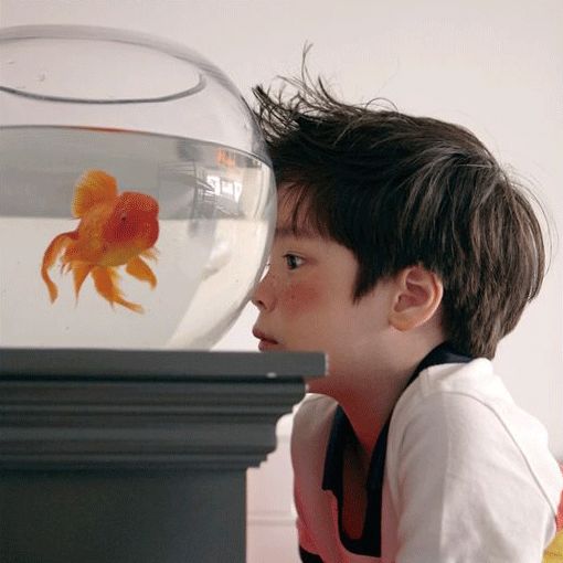 儿童节记忆中的玩具,儿童节玩具礼物有仪式感