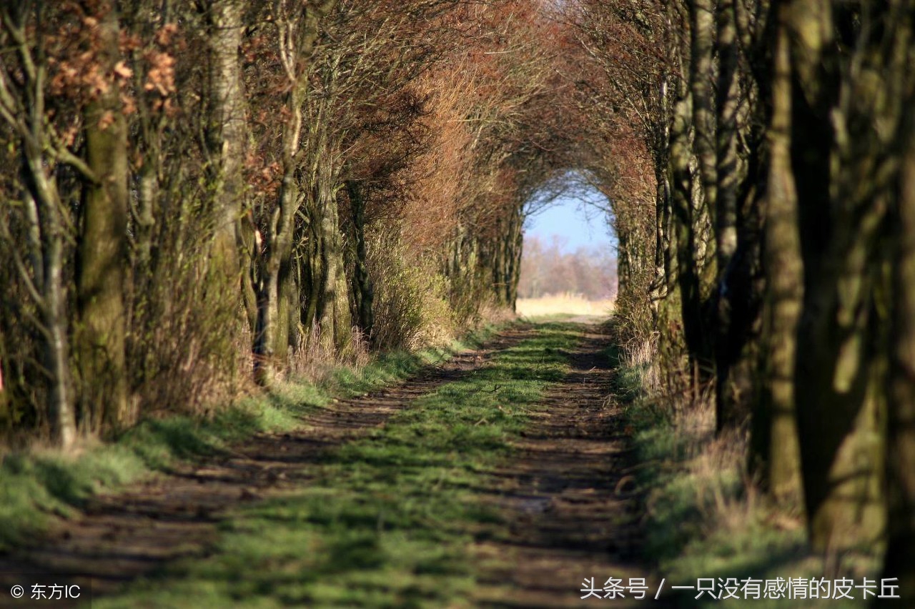 中国民间故事借命,民间故事三道井