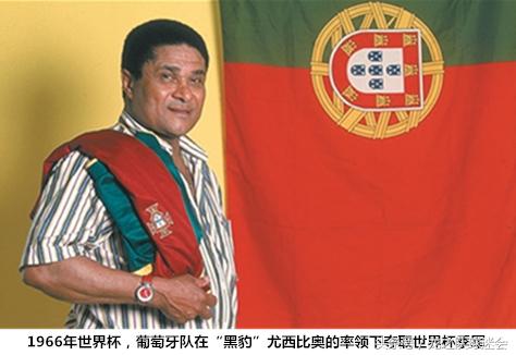 世界杯32强巡礼之卡塔尔,世界杯32强巡礼之日本背水一战