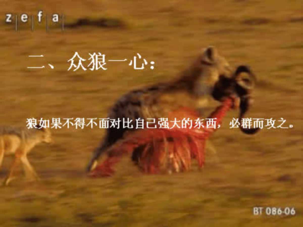 企业团队凝聚力培训ppt,企业团队精神培训ppt