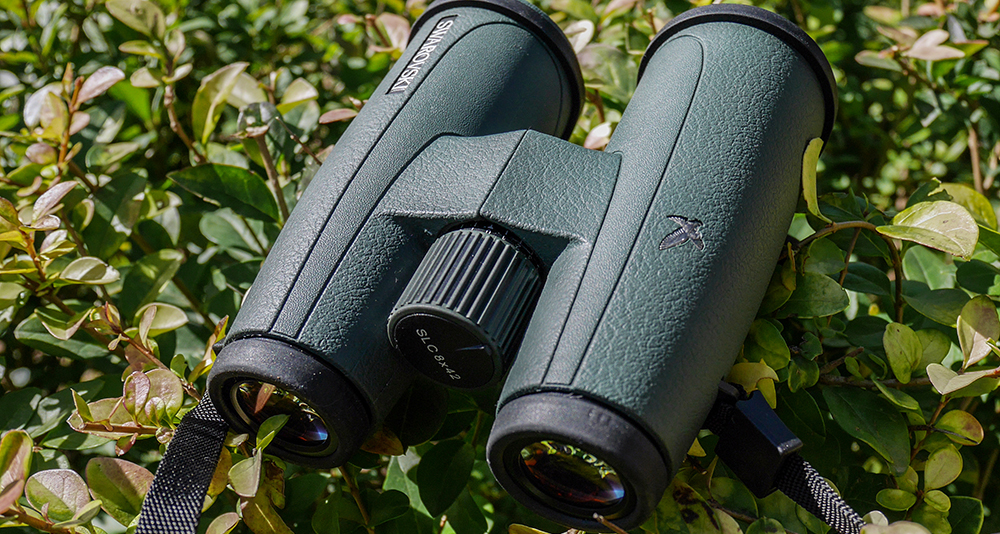 全球哪里的施华洛世奇最便宜,你买东西买贵了吗