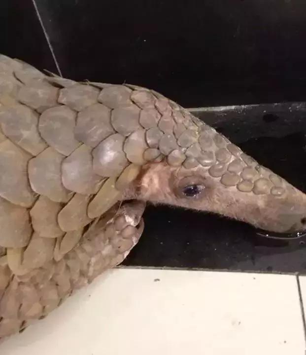 海外代购的暴利秘密 (代购圈乱象)