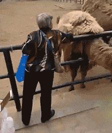 揭秘！羊毛*党**薅羊毛到底能获得多少利益？