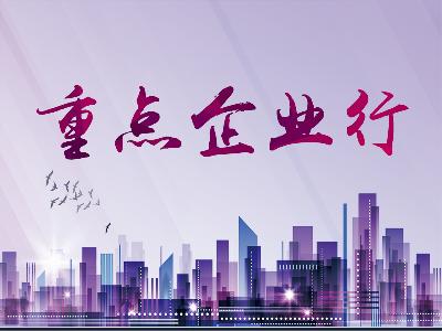 金海宏业现在怎么样了,金海宏业项目公示