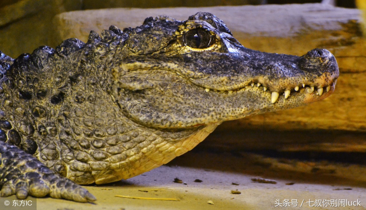 朋友圈低价卖完什么套路,朋友圈里卖低价服装的真相