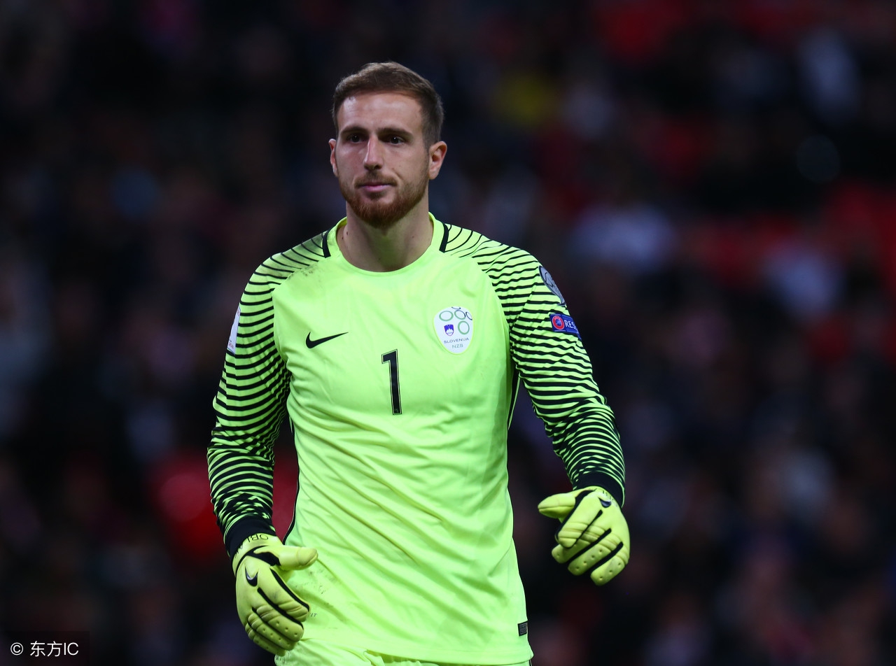 足坛历史十大门将排名榜,足坛十大门将最新排行榜