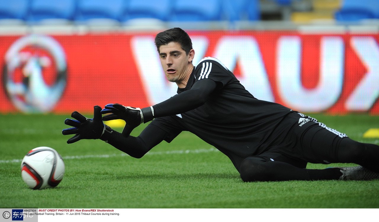 足坛历史十大门将排名榜,足坛十大门将最新排行榜