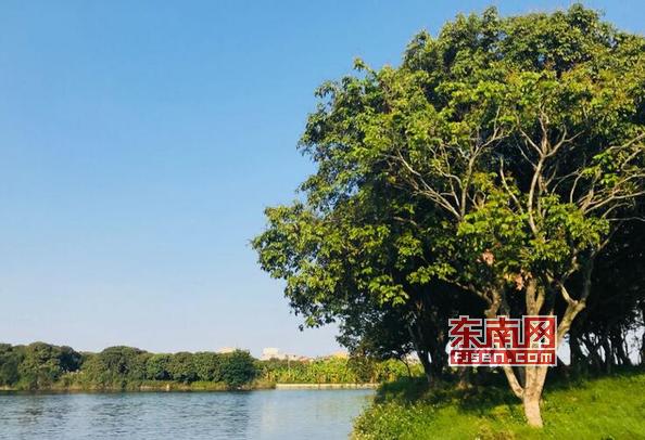 侨乡莆田重现荔林水乡,莆田荔林水乡风光