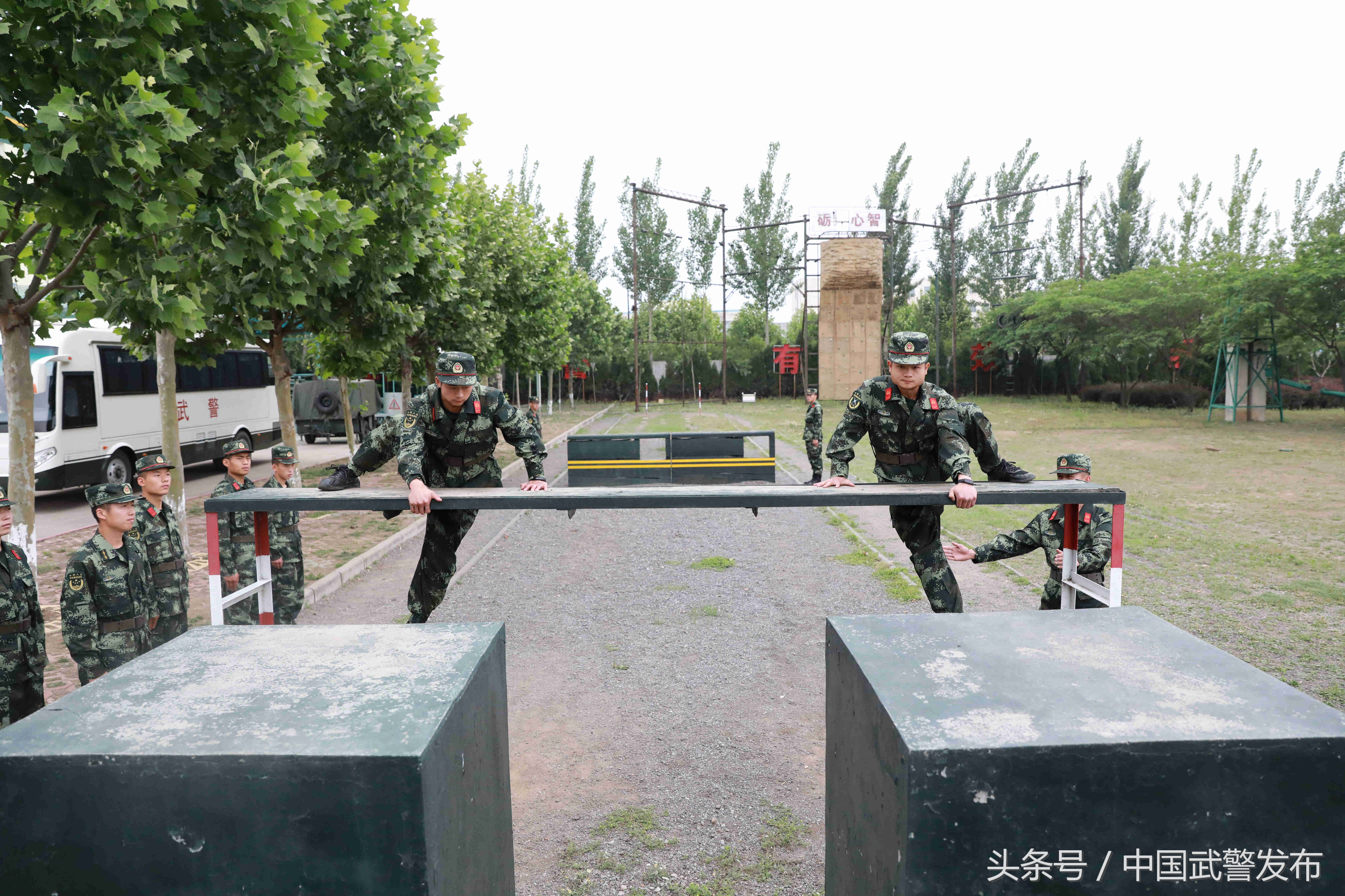 新式迷彩有哪些特点图片,20款新式迷彩