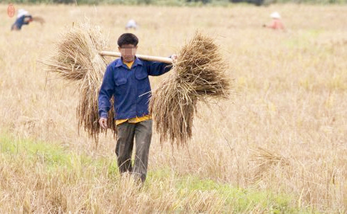 父母地里干活,孩子在家玩手机,邻居:穷人家养了个“富家女”