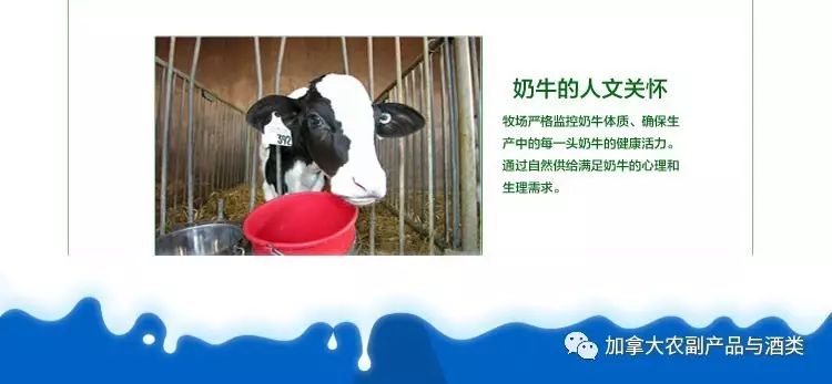 真正原装进口国货牛奶,新西兰牛奶粉原装进口