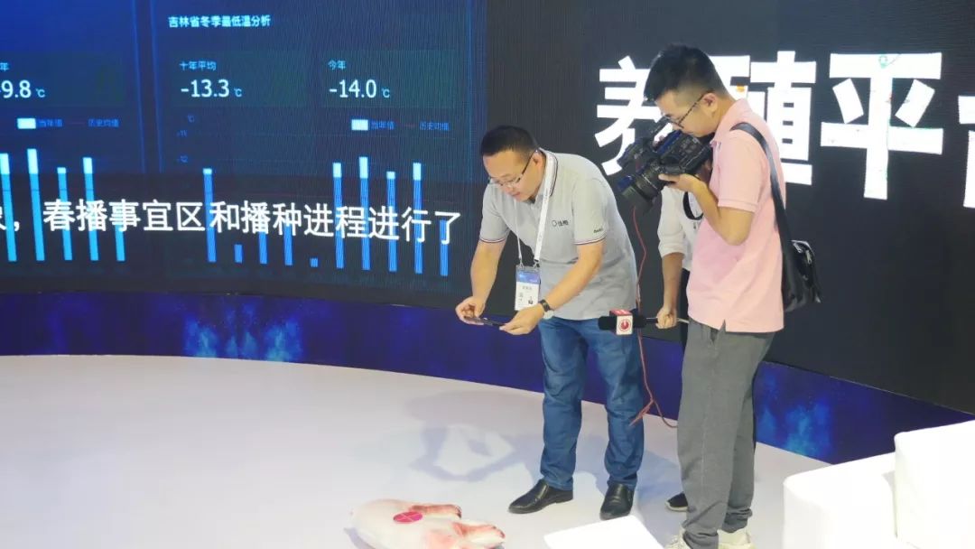 人工智能与农林大数据,人工智能大数据科技