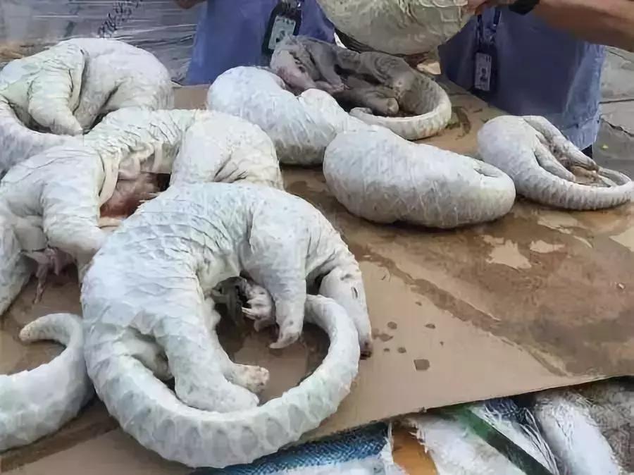 代购骗局揭秘朋友圈,揭露各种海外代购真相