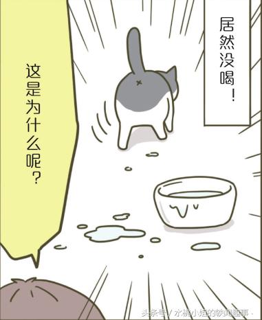 咪咪趣事漫画：为何把爪子伸进去呢？
