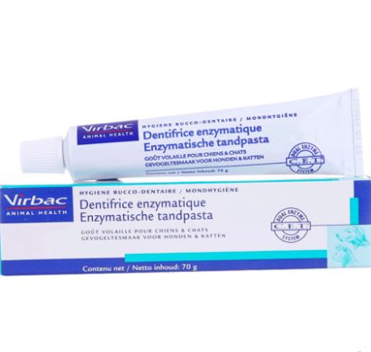 超级推荐的猫,推荐猫最爱吃的东西还很便宜