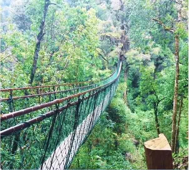 云南旅游景点哪最好玩,云南旅游有哪些主要景点好玩