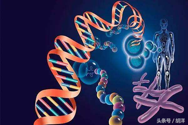 囊肿跟肿瘤的影像学区别,囊肿和肝癌的关系