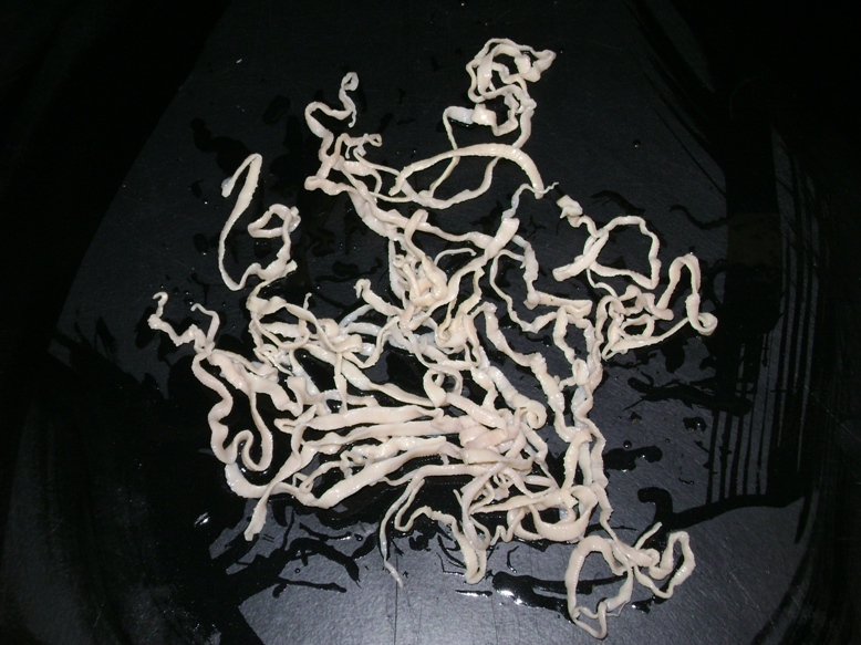 烹饪食用的三文鱼能生吃吗,不新鲜的三文鱼生吃会怎么样