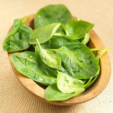 备孕妈妈需要吃些什么,备孕妈妈必吃的12类食物