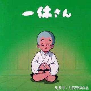 你给宠物起过哪些奇葩的名字？盘点那些让人印象深刻的宠物名字！