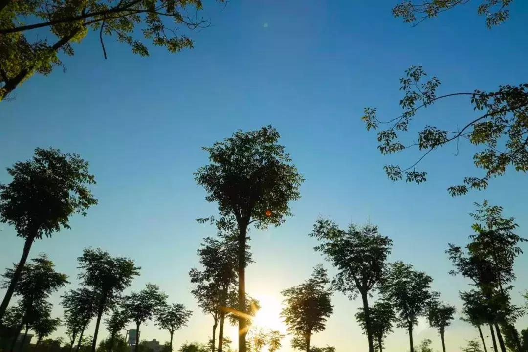 阜阳五中是哪个镇,阜阳五中口碑怎么样