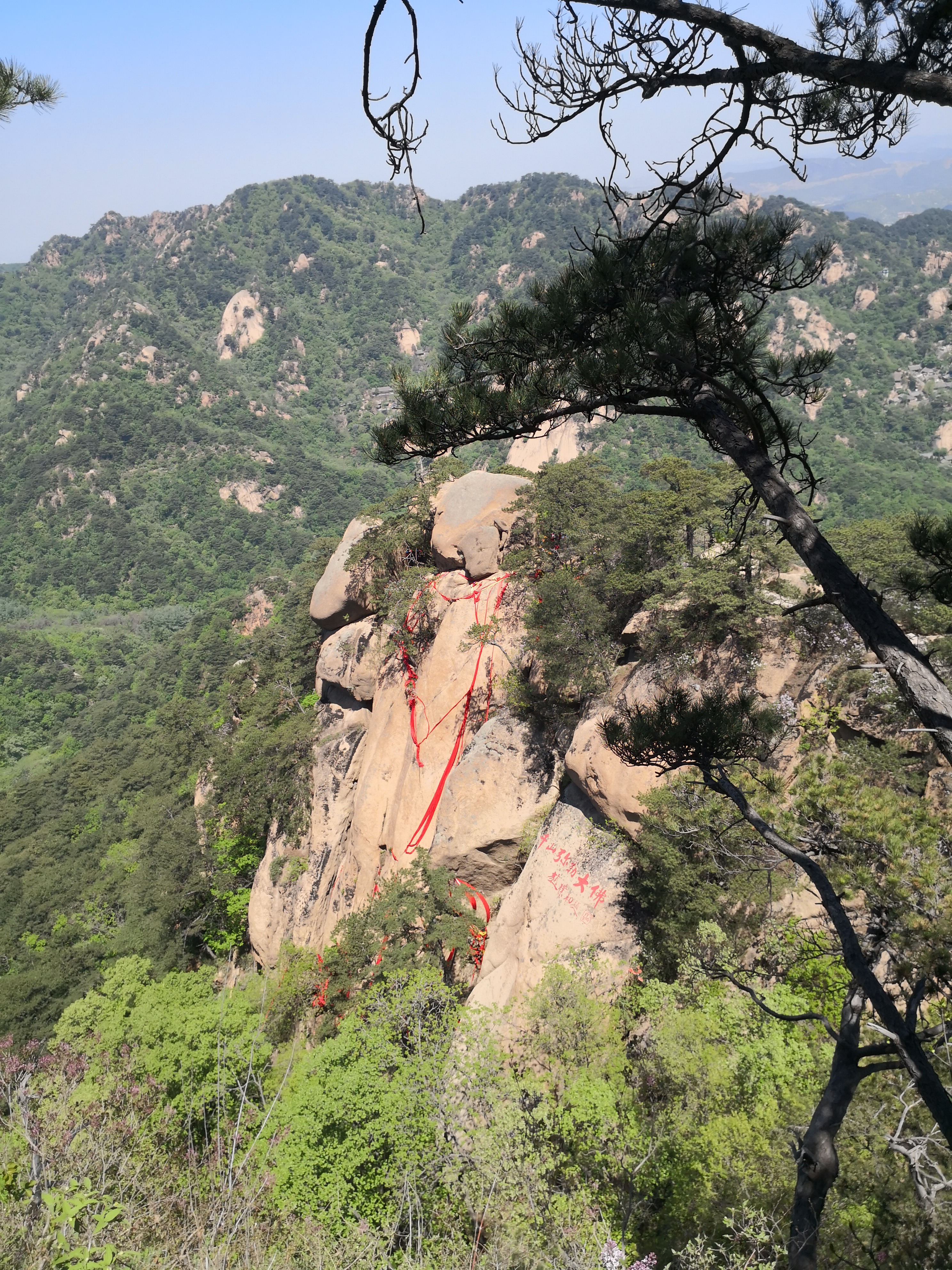 鞍山在辽宁省经济排名,鞍山的地位
