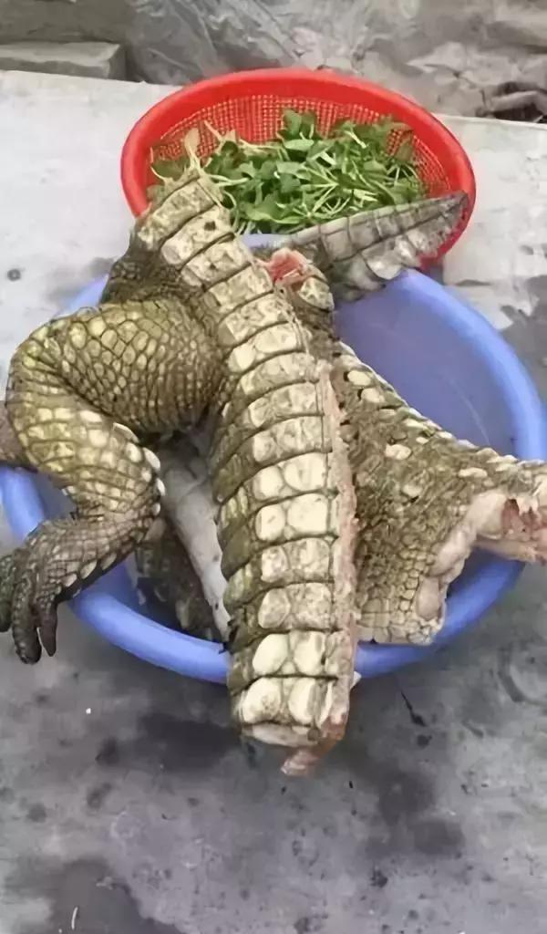 海外代购的荒唐陷阱,最可怕的代购骗局