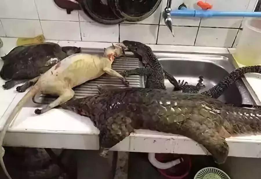 揭露各种海外代购真相,朋友圈代购真实案例