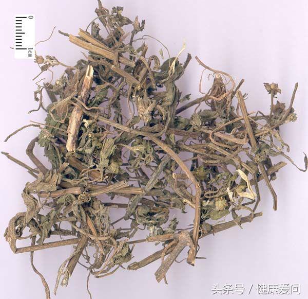 每日一味中药墨旱莲,每日学一味中药牛膝