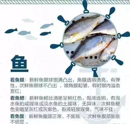 海鲜美食分享吃货日常,美食分享吃海鲜视频