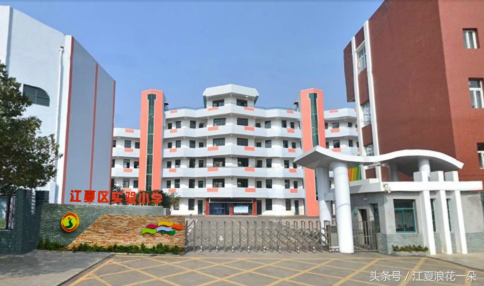 武汉市江夏实验小学,武汉市江夏区实验小学2019