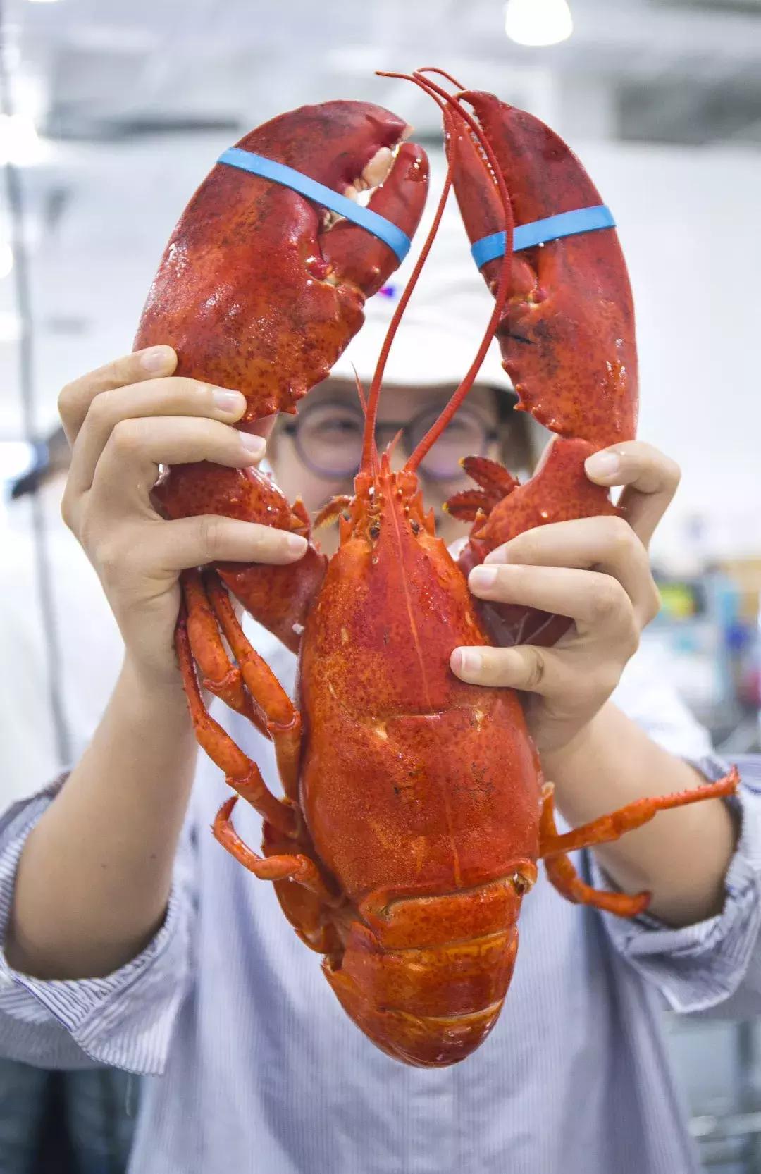 再也不用代购了!来自全球30个国家4000+商品火爆来袭!