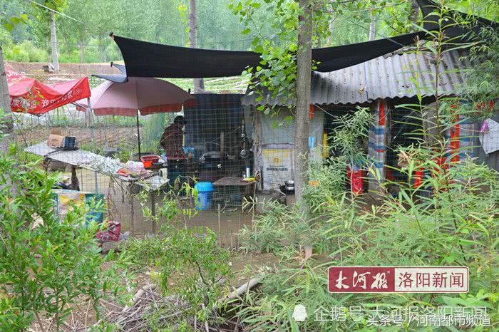 河南老人孤岛养鱼替儿还债：账本从不离身，天天啃馒头吃大蒜！