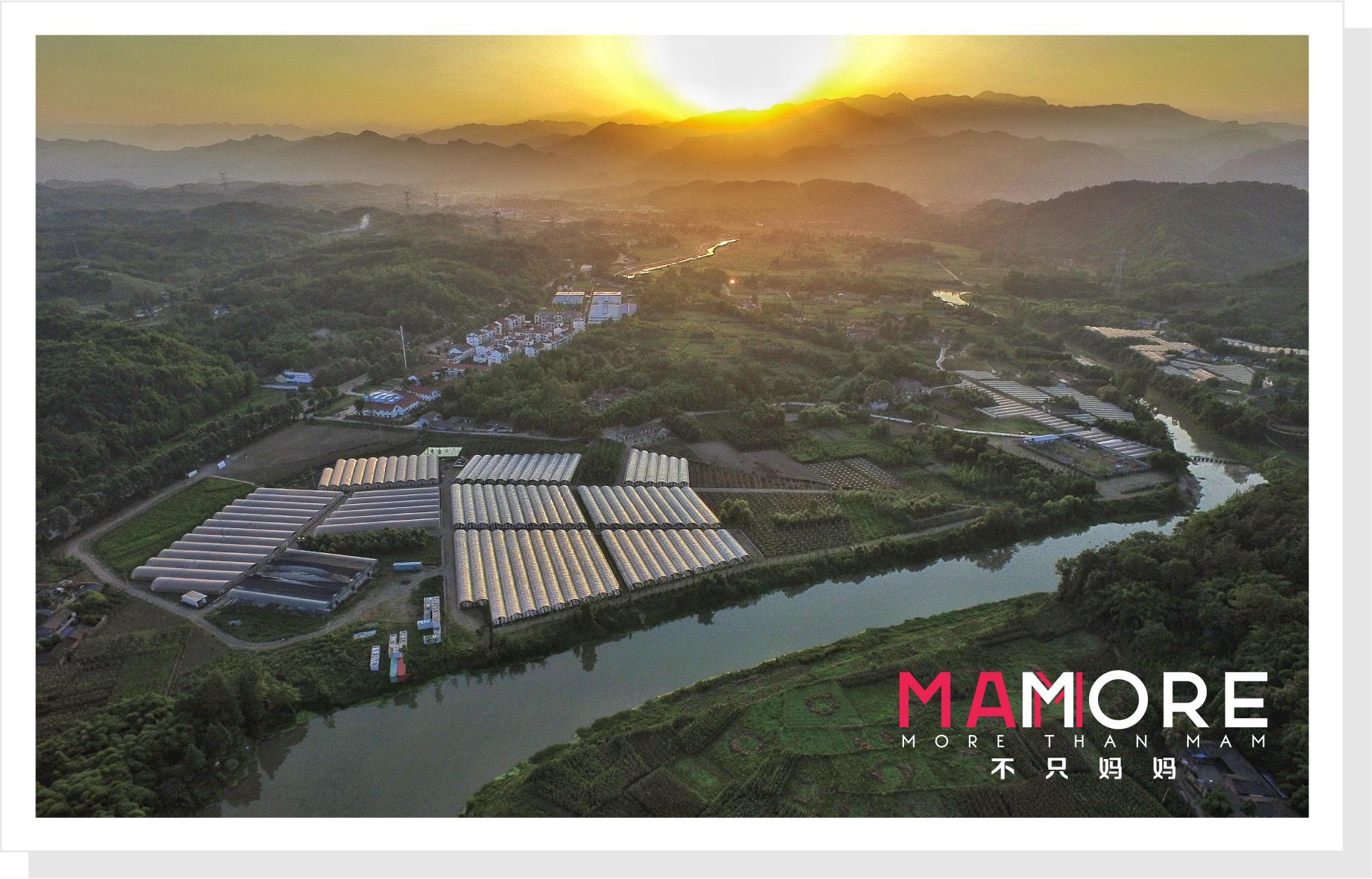 她经历了车祸、听力障碍、抑郁症，这位妈妈如何乐观面对生活的