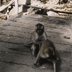 人在囧途旅游路线,人在囧途之毛里求斯
