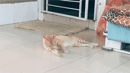 人在囧途旅游路线,人在囧途之毛里求斯