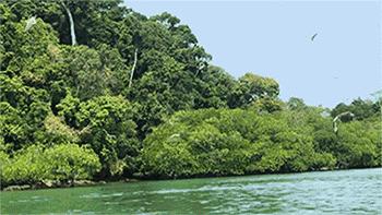 人在囧途通关攻略,人在囧途之历险