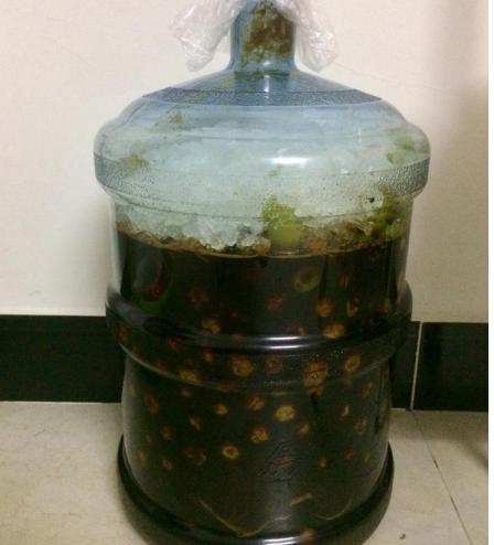 自制梅子酵素清肠排宿便,通便的梅子酵素