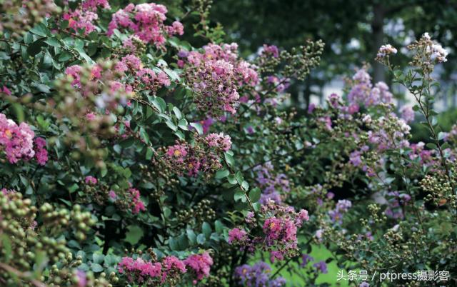 前期拍摄画草图技巧有哪些,线描画人物摄影技巧构图