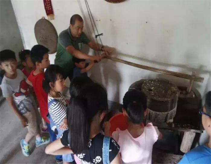 乡村振兴之美丽乡村建设调研,农城微旅