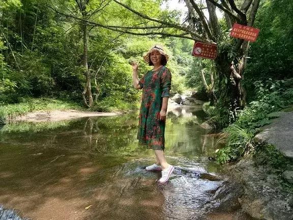 乡村振兴之美丽乡村建设调研,农城微旅