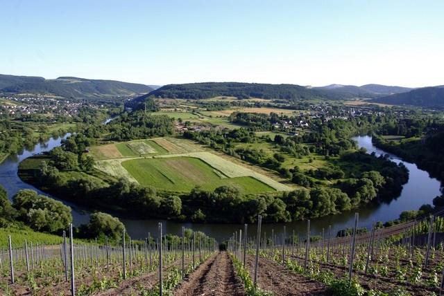 4种低调的德国葡萄酒,德国qba等级的葡萄酒