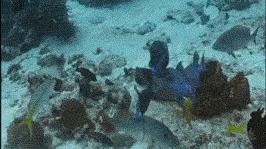 土豪垂钓赛最新消息,郑州土豪垂钓赛事件