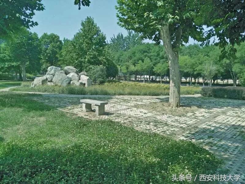 四六级拿满分攻略,裸考四六级高分通过小技巧